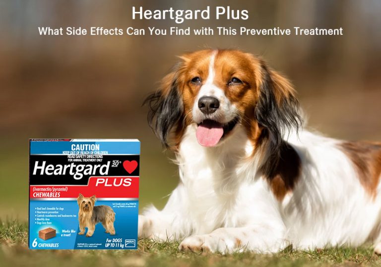 Side Effects of Heartgard Plus to your Pet JAN. 2020 Updated