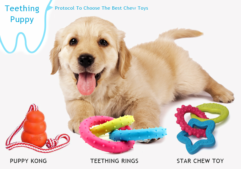 chew toys for teething puppies