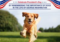 Celebrate President's Day by Remembering the Importance of Dogs