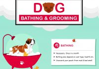 Dog Grooming Infographics