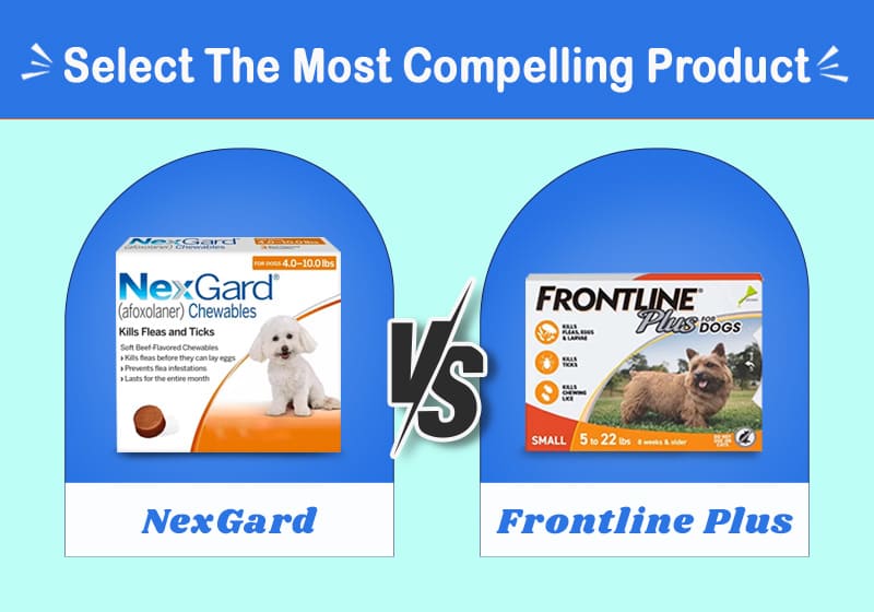 nexgard vs frontline plus for dogs