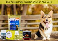 glucosamine supplements for dogs