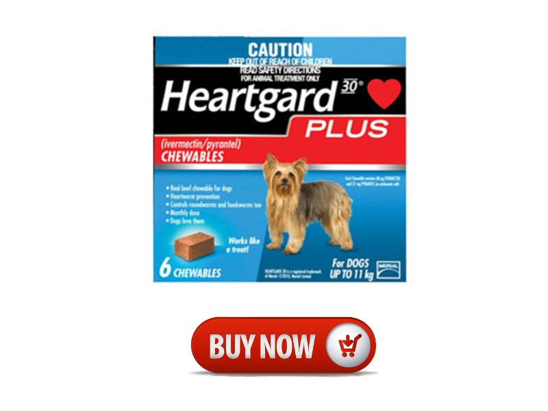 Heartgard Plus for Dog
