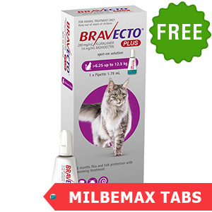 Bravecto Plus for cat