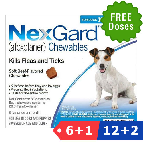 Nexgard For Dog