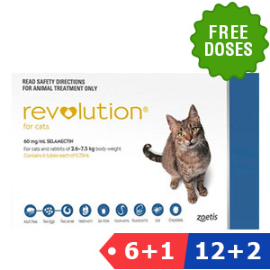 Revolution for cat