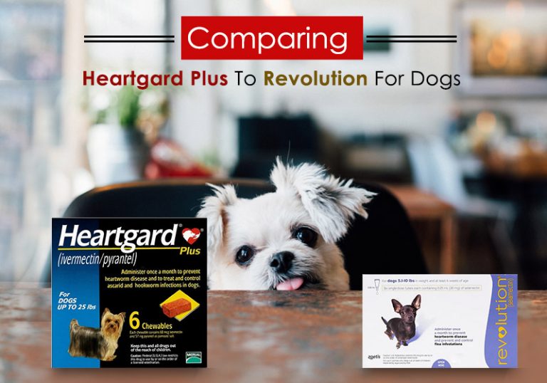 Comparing Heartgard Plus To Revolution For Dogs BestVetCare