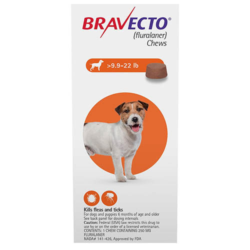 Bravecto for Small Dogs