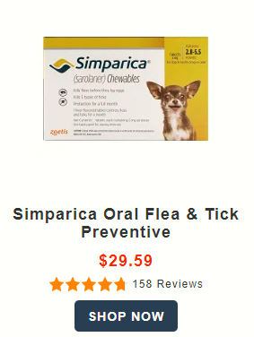 simparica oral for dogs
