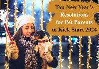 New Year Resolutions For Pet Parents