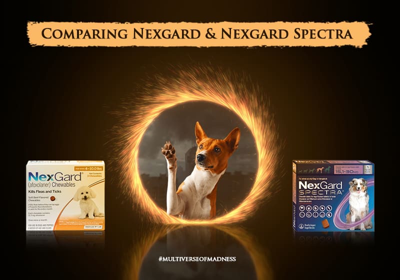 Nexgard VS Nexgard Spectra