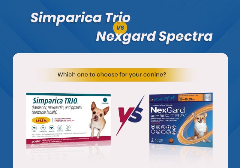 simparica trio vs nexgard spectra