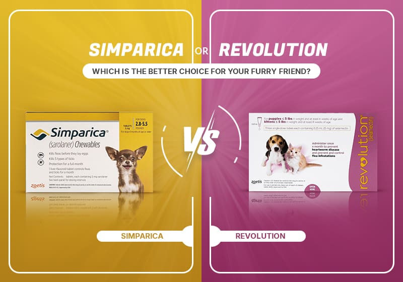 simparica vs revolution