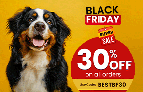 Black Friday Sale 2025