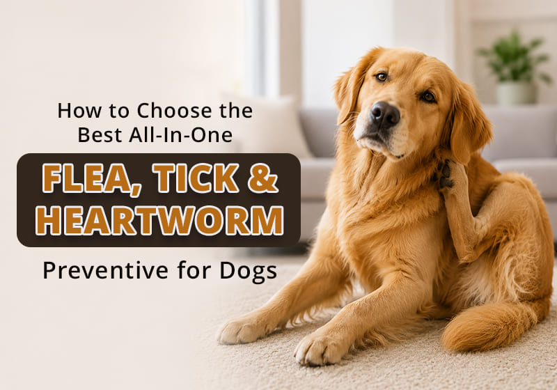 All-In-One Flea, Tick & Heartworm Preventive for Dogs