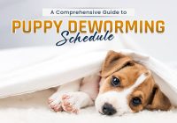 Guide to Puppy Deworming Schedule