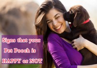 Signs that your Pet Pooch is Happy or Not