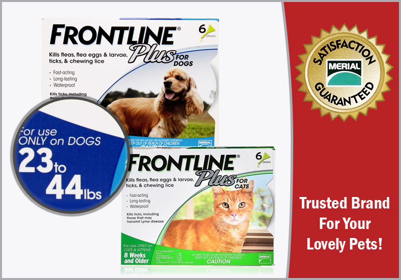 Tips To Check The Authenticity Of Frontline Plus BestVetCare