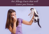 Shocking Pet Allergy Facts