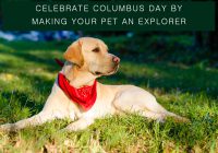 columbus day sales deals on pet supplies