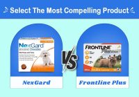 nexgard vs frontline plus for dogs