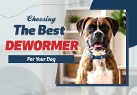 Choosing The Best Dewormer for Your Dog
