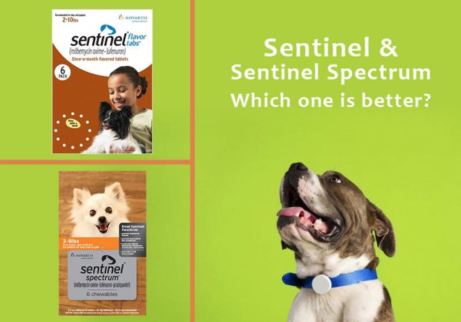 difference between sentinel and sentinel spectrum for dogs