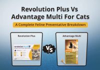 Revolution Plus vs. Advantage Multi for Cats
