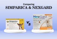 Comparison between Simparica & Nexgard