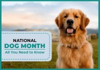 national dog month