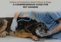 Congestive Heart failure in Dogs