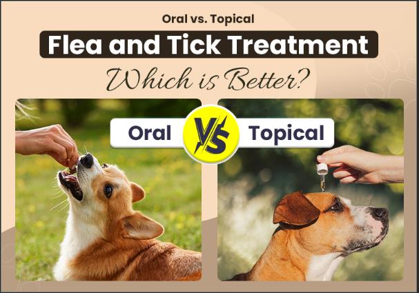 Oral or Topical Flea & Tick Treatment For Pets