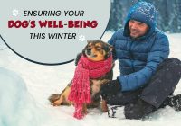 Ensuring Your Dog’s Well-being this Winter