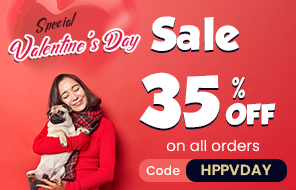 Valentine's Day Sale