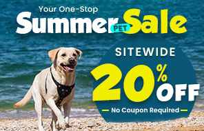 Summer Sale
