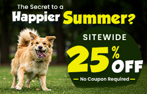 Summer Sale