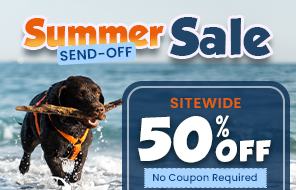 Summer Sale